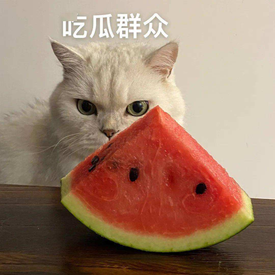 德州学院喷泉视频 德州学院事件始末喷泉发生了什么？