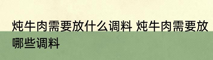 炖牛肉需要放什么调料 炖牛肉需要放哪些调料