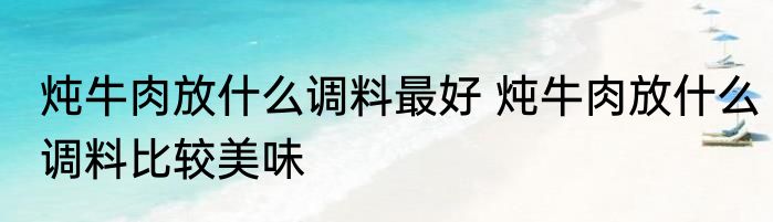 炖牛肉放什么调料最好 炖牛肉放什么调料比较美味