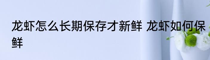 龙虾怎么长期保存才新鲜 龙虾如何保鲜