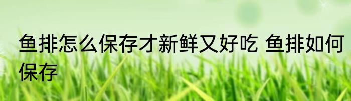 鱼排怎么保存才新鲜又好吃 鱼排如何保存