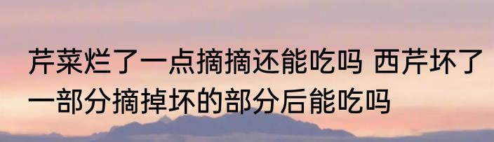 芹菜烂了一点摘摘还能吃吗 西芹坏了一部分摘掉坏的部分后能吃吗