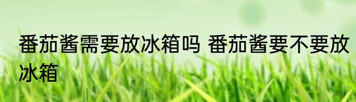 番茄酱需要放冰箱吗 番茄酱要不要放冰箱