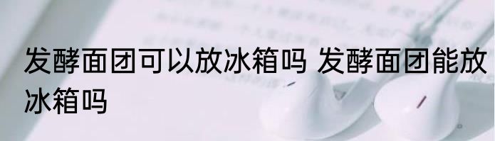 发酵面团可以放冰箱吗 发酵面团能放冰箱吗
