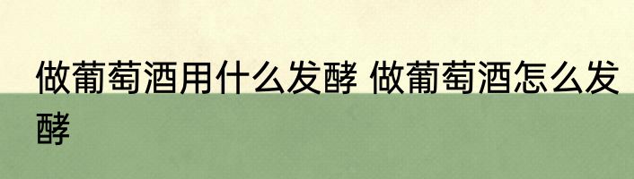 做葡萄酒用什么发酵 做葡萄酒怎么发酵