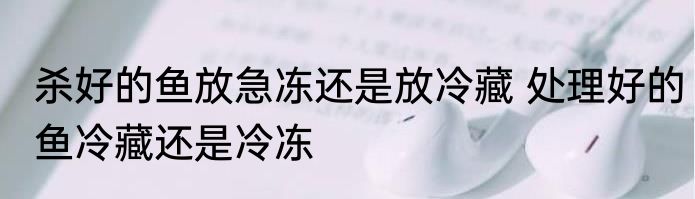 杀好的鱼放急冻还是放冷藏 处理好的鱼冷藏还是冷冻