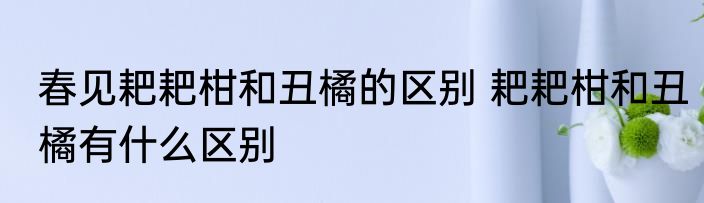 春见耙耙柑和丑橘的区别 耙耙柑和丑橘有什么区别