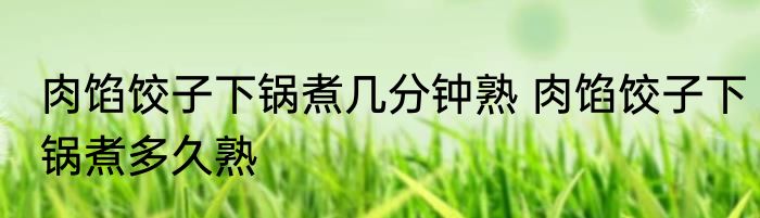 肉馅饺子下锅煮几分钟熟 肉馅饺子下锅煮多久熟