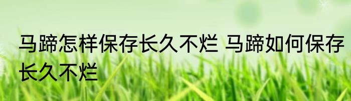 马蹄怎样保存长久不烂 马蹄如何保存长久不烂