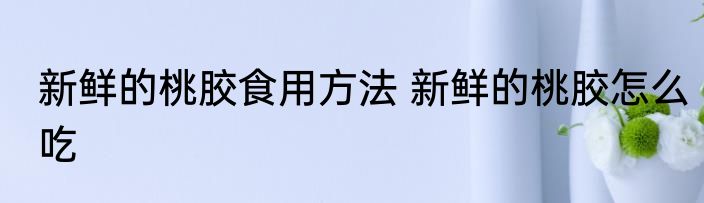 新鲜的桃胶食用方法 新鲜的桃胶怎么吃
