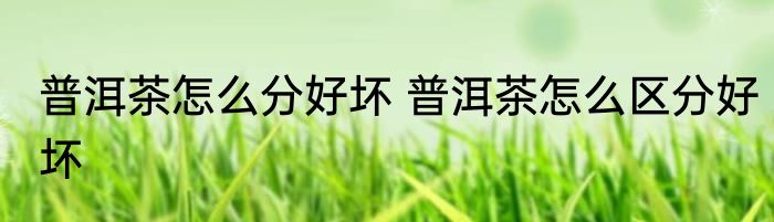 普洱茶怎么分好坏 普洱茶怎么区分好坏