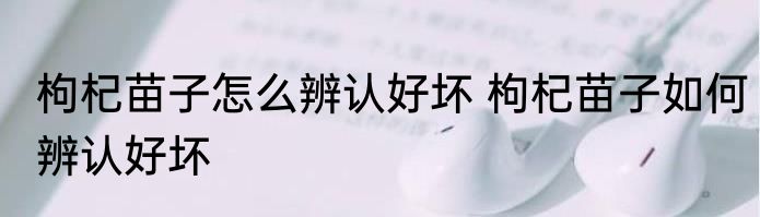 枸杞苗子怎么辨认好坏 枸杞苗子如何辨认好坏