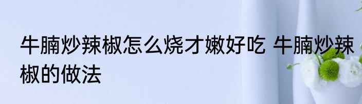 牛腩炒辣椒怎么烧才嫩好吃 牛腩炒辣椒的做法