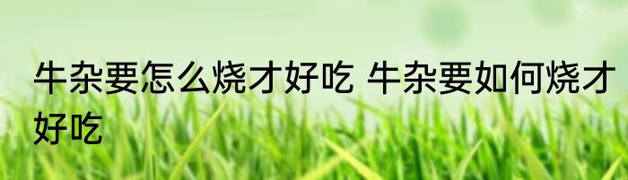 牛杂要怎么烧才好吃 牛杂要如何烧才好吃