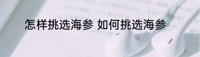 怎样挑选海参 如何挑选海参