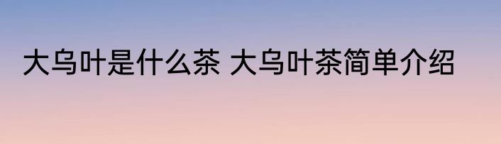 大乌叶是什么茶 大乌叶茶简单介绍