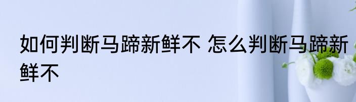 如何判断马蹄新鲜不 怎么判断马蹄新鲜不