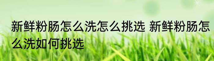 新鲜粉肠怎么洗怎么挑选 新鲜粉肠怎么洗如何挑选