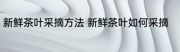新鲜茶叶采摘方法 新鲜茶叶如何采摘