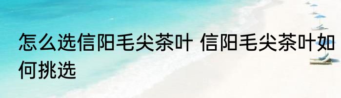 怎么选信阳毛尖茶叶 信阳毛尖茶叶如何挑选