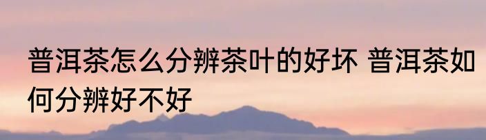 普洱茶怎么分辨茶叶的好坏 普洱茶如何分辨好不好