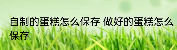 自制的蛋糕怎么保存 做好的蛋糕怎么保存