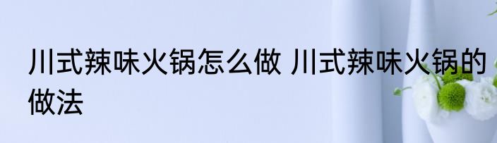 川式辣味火锅怎么做 川式辣味火锅的做法