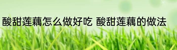 酸甜莲藕怎么做好吃 酸甜莲藕的做法