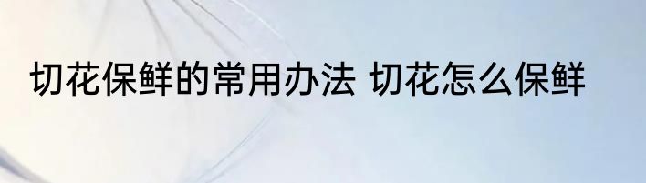 切花保鲜的常用办法 切花怎么保鲜