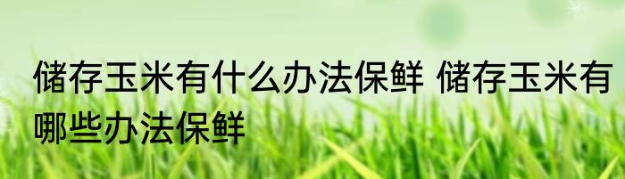 储存玉米有什么办法保鲜 储存玉米有哪些办法保鲜