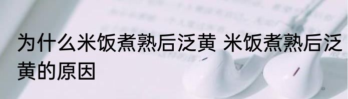 为什么米饭煮熟后泛黄 米饭煮熟后泛黄的原因