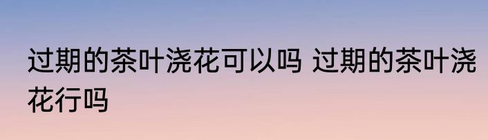 过期的茶叶浇花可以吗 过期的茶叶浇花行吗