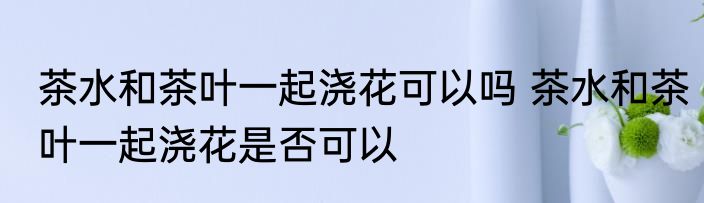 茶水和茶叶一起浇花可以吗 茶水和茶叶一起浇花是否可以