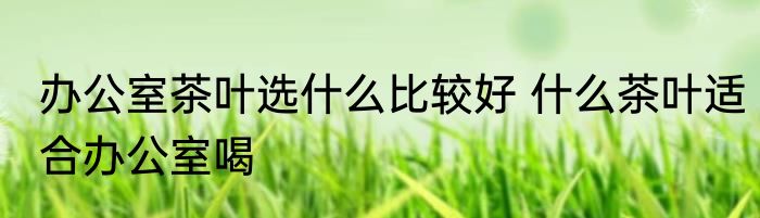 办公室茶叶选什么比较好 什么茶叶适合办公室喝
