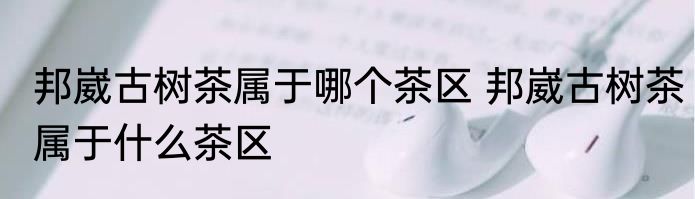 邦崴古树茶属于哪个茶区 邦崴古树茶属于什么茶区