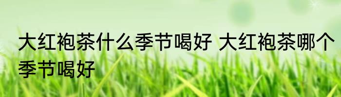 大红袍茶什么季节喝好 大红袍茶哪个季节喝好