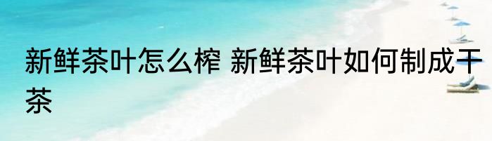 新鲜茶叶怎么榨 新鲜茶叶如何制成干茶