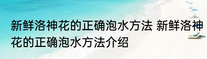 新鲜洛神花的正确泡水方法 新鲜洛神花的正确泡水方法介绍