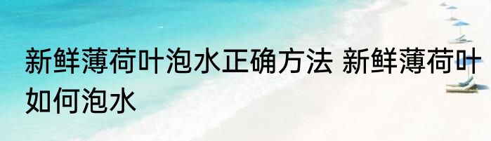 新鲜薄荷叶泡水正确方法 新鲜薄荷叶如何泡水