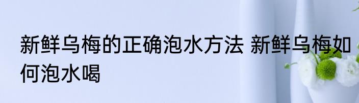 新鲜乌梅的正确泡水方法 新鲜乌梅如何泡水喝