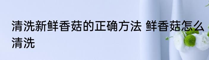 清洗新鲜香菇的正确方法 鲜香菇怎么清洗