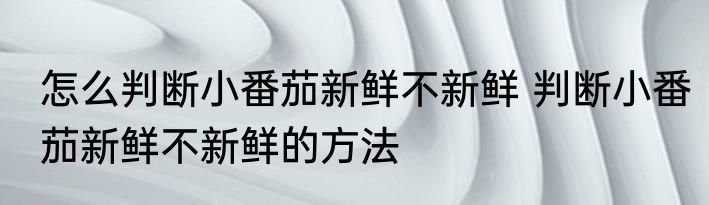 怎么判断小番茄新鲜不新鲜 判断小番茄新鲜不新鲜的方法