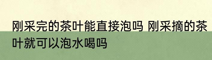 刚采完的茶叶能直接泡吗 刚采摘的茶叶就可以泡水喝吗