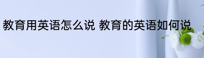 教育用英语怎么说 教育的英语如何说