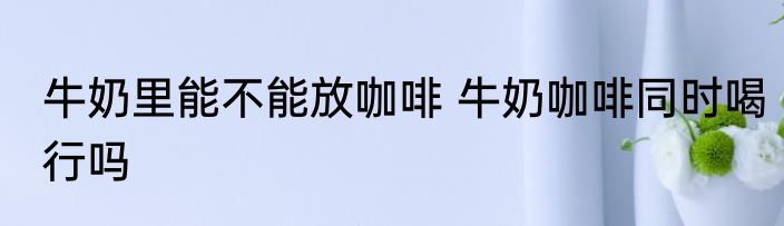 牛奶里能不能放咖啡 牛奶咖啡同时喝行吗