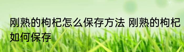 刚熟的枸杞怎么保存方法 刚熟的枸杞如何保存