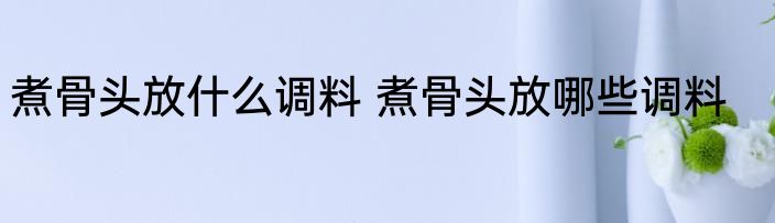 煮骨头放什么调料 煮骨头放哪些调料