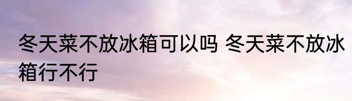 冬天菜不放冰箱可以吗 冬天菜不放冰箱行不行