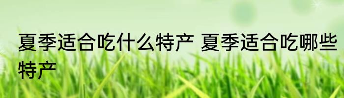 夏季适合吃什么特产 夏季适合吃哪些特产