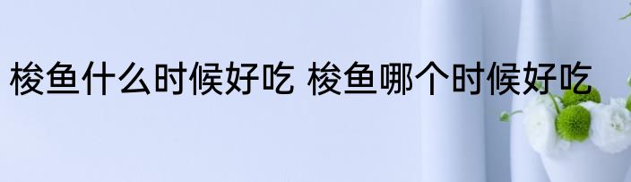 梭鱼什么时候好吃 梭鱼哪个时候好吃